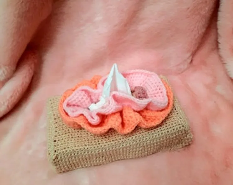 Vulva tissue box cover
