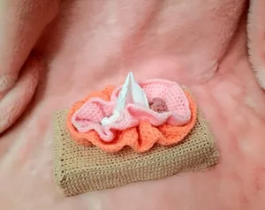 Vulva tissue box cover