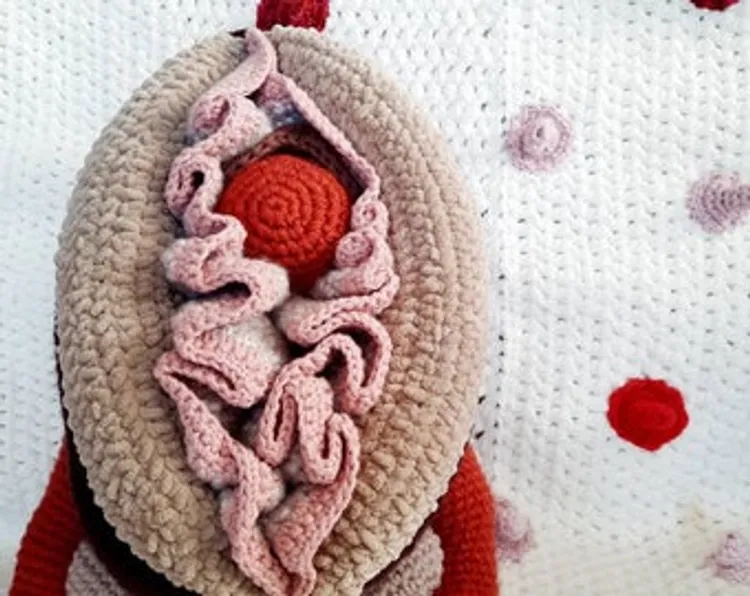 Vulva clitoris 2 in 1 pillow