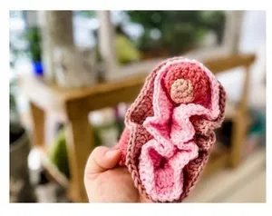 Vulva washcloth